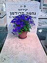 Filename=DSC00346.JPG
Filesize=137KiB
Dimensions=600x800
Date added=Feb 23, 2013 DSC00346.JPG