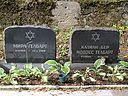 Filename=Gelbart.jpg
Filesize=174KiB
Dimensions=800x600
Date added=Nov 23, 2010 Gelbart.jpg