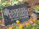 Filename=Golomb_4.jpg
Filesize=168KiB
Dimensions=800x600
Date added=Nov 23, 2010 Golomb_4.jpg