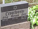 Filename=Levartovski.jpg
Filesize=154KiB
Dimensions=800x600
Date added=Nov 23, 2010 Levartovski.jpg