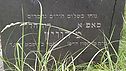 Filename=Mirvitc_1_-_Copy.jpg
Filesize=298KiB
Dimensions=900x506
Date added=Jul 07, 2017 Mirvitc_1_-_Copy.jpg