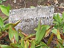 Filename=Serman.jpg
Filesize=135KiB
Dimensions=800x600
Date added=Nov 23, 2010 Serman.jpg